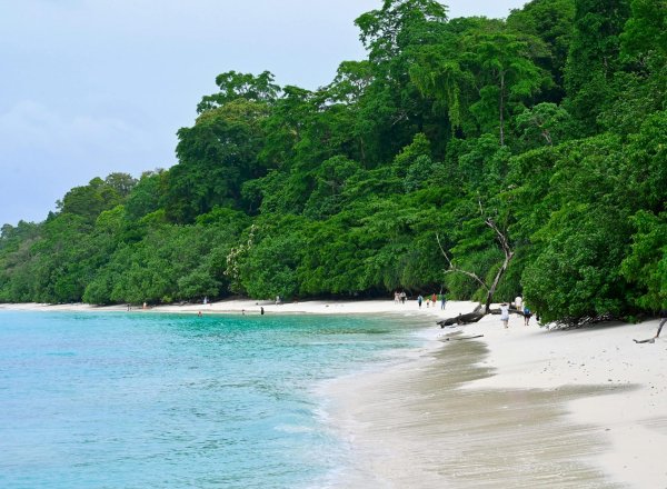 Andaman Islands Excursion
