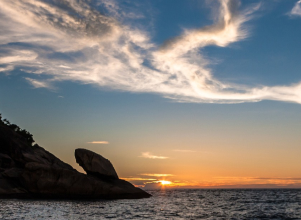 Andaman Tropical Delights