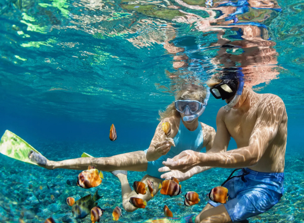 Snorkel and Sail – Andaman Package