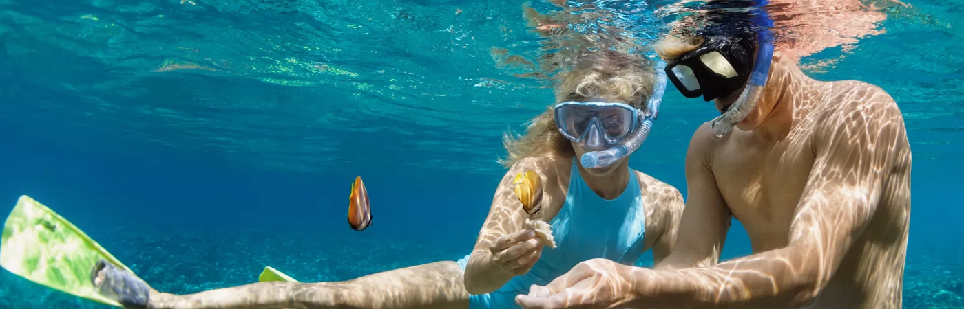Snorkel and Sail Andaman Package 5N/6D package - Port Blair + Havelock + Neil