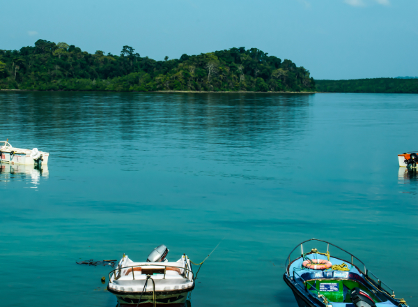 Andaman Twin Island LTC Tour Package