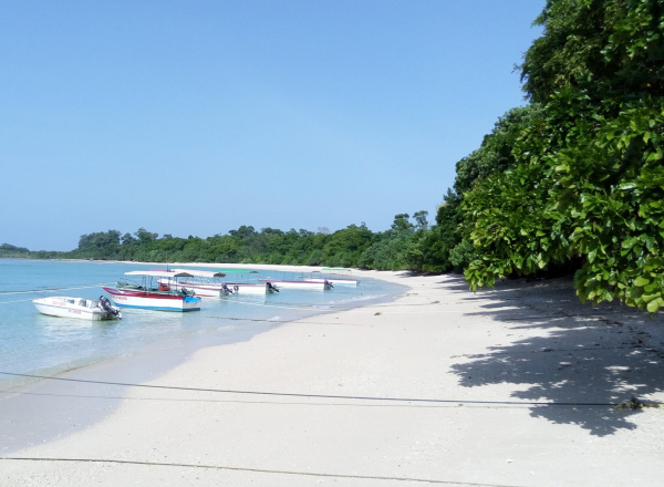 Baratang & Parrot Island LTC Tour Package