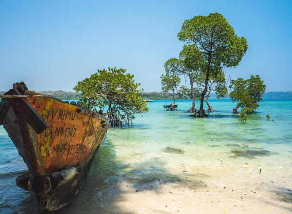 Emerald Andaman