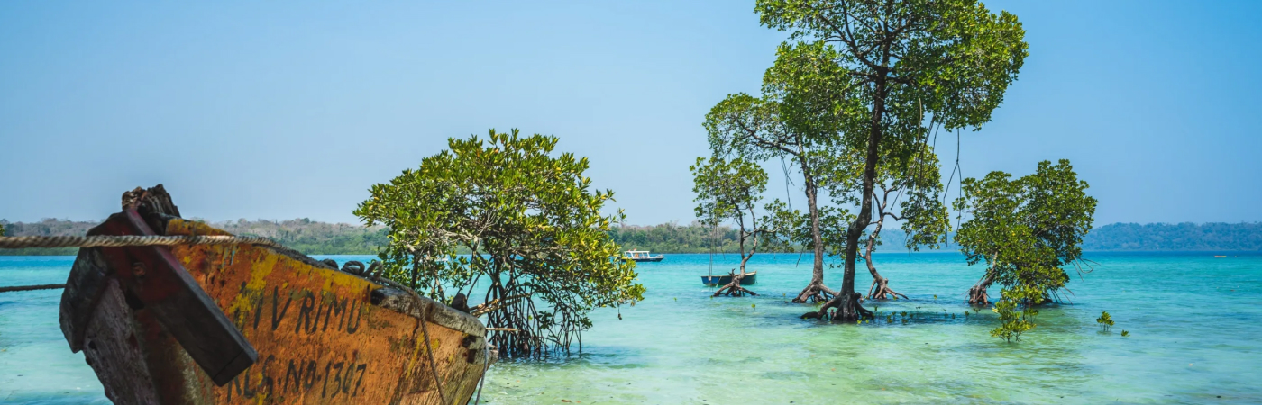 Emerald Andaman Tour 2N/3D package - Port Blair + Havelock