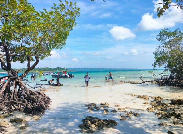 Family Vacation in Havelock